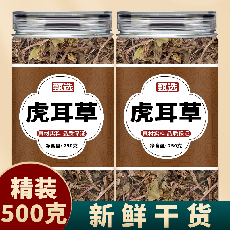 虎耳草中药材正宗野生金丝