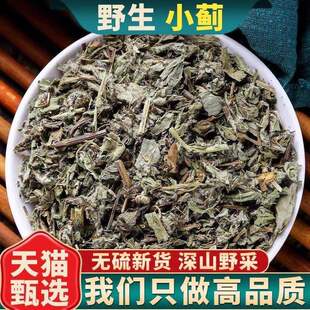 野生小蓟材店刺儿菜小计青青草刺狗牙刺儿菜中草药泡水喝无添加