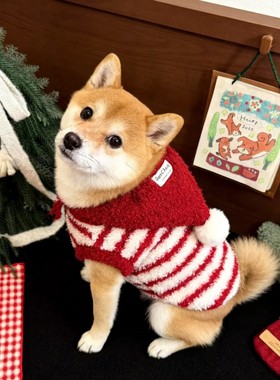 宠物可爱小猫咪衣服冬季红色过年比熊泰迪小型犬保暖连帽加绒背心