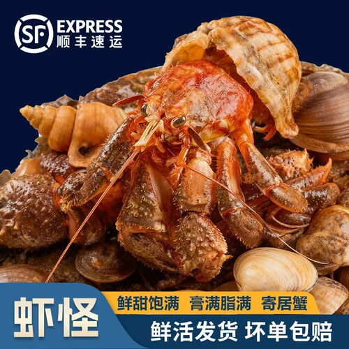 山东威海现捕新鲜食用虾怪海怪水产超大带壳寄居蟹腿超肥满黄满膏