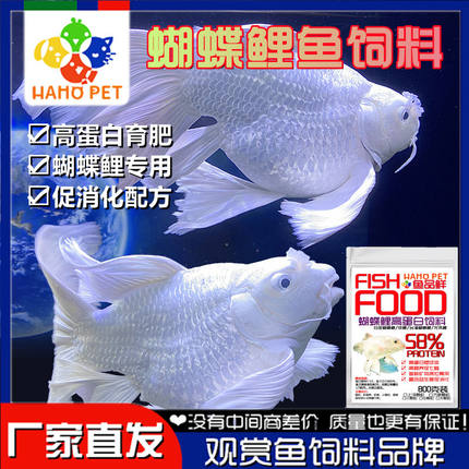 蝴蝶鲤饲料蝴蝶鲤鱼食球体台湾蝴蝶鲤鱼苗纯种高蛋白热带颗粒鱼粮