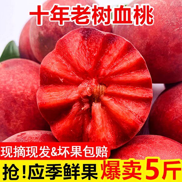 正宗老树血桃|甄选品质甜嫩多汁