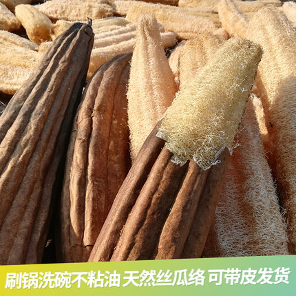 天然老丝瓜瓤洗碗百洁抹布带皮壳干丝瓜囊筋厨房刷锅不沾油丝瓜络