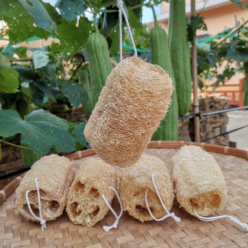 丝瓜络刷锅刷碗老丝瓜瓤洗碗搓澡巾洗澡厨房清洁日用品抹布丝瓜筋