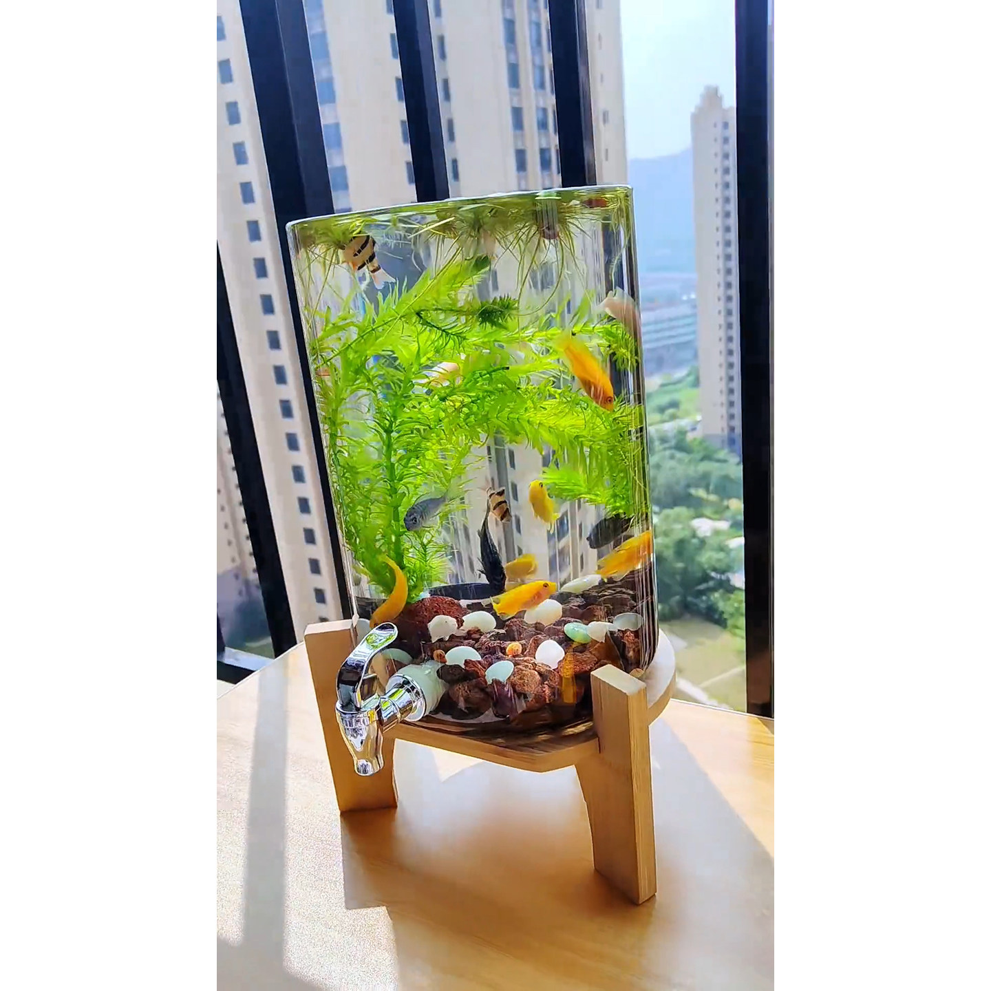 耐高温泡酒瓶青梅泡酒专用瓶带龙头泡酒坛葡萄酿酒瓶网红自酿家用