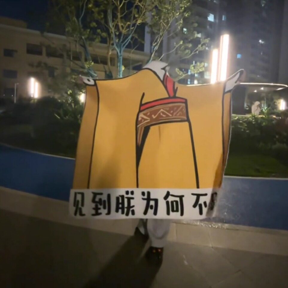 空调毯龙图见朕为何不跪搞怪毯子宿舍床上午休午睡表情包毛毯网红