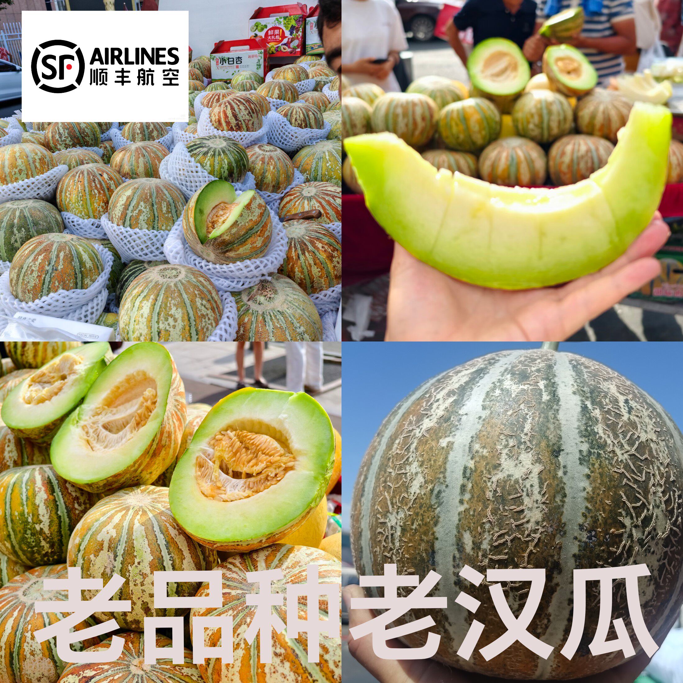 当季新疆喀什老汉瓜老品种 水多纯甜软糯 8-9斤2个装顺丰空运包邮