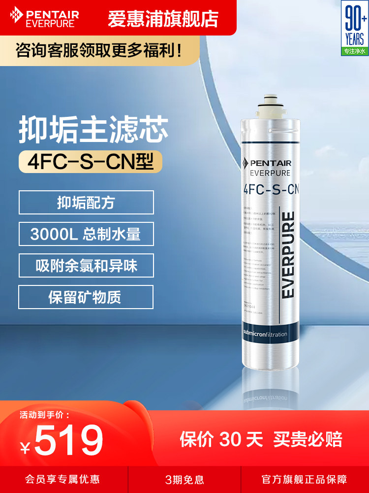 爱惠浦主滤芯净水机抑垢耗材矿物质直饮家用净水器配件4FC-S