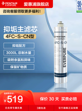 爱惠浦主滤芯净水机抑垢耗材矿物质直饮家用净水器配件4FC-S
