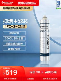 爱惠浦主滤芯净水机抑垢耗材矿物质直饮家用净水器配件4FC-S