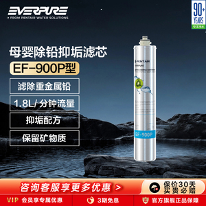 爱惠浦everpure净水器滤芯净水机耗材自来水过滤器配件EF-900P