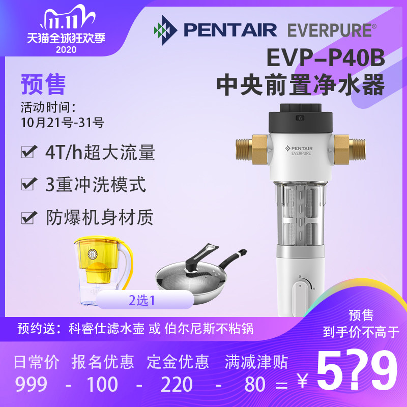 爱惠浦前置净水器全屋自来水反冲洗过滤器家用中央净水机EVP-P40B