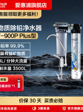 爱惠浦净水器家用直饮净水机厨房自来水矿物质过滤器EF-900P