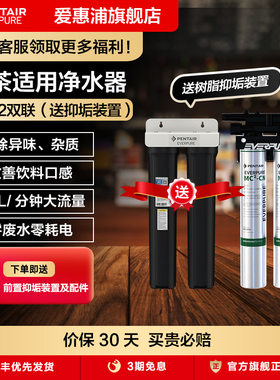 爱惠浦商用净水器自来水过滤器奶茶店净水机咖啡店滤水器MC2