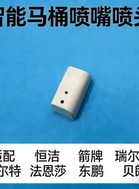 适配海尔卫玺，大白，箭牌，恒HCE洁智能马桶喷杆喷嘴喷头