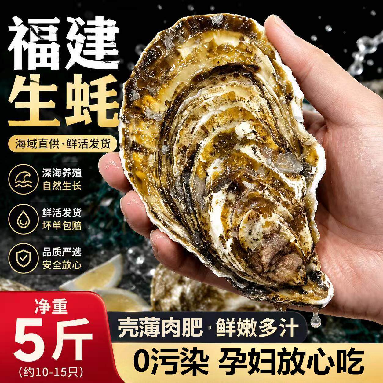 霞浦精品一级超大生蚝