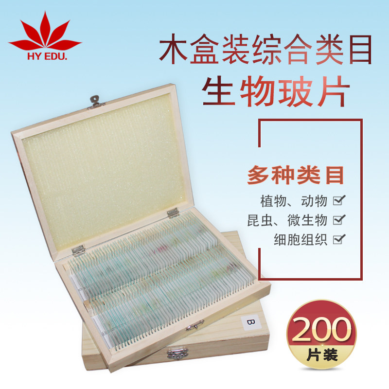 木盒装200种综合类目套装显微镜配件教学用生物切片套装