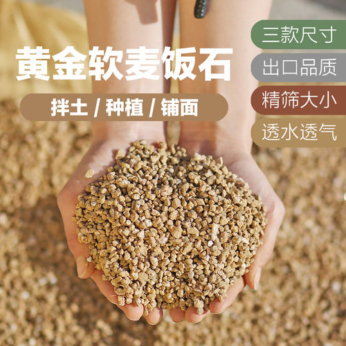 可用植物铺面拌土种植颗粒土