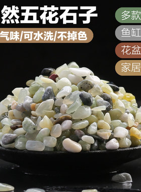 天然小石头五花彩石白色小石子鹅卵石水洗石鱼缸多肉花盆铺面装饰