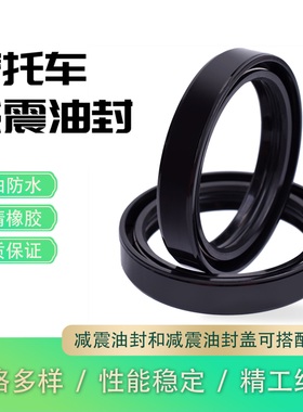 适用卡吉瓦ELEFANT900胡斯瓦纳CR125川崎1700 摩托车前叉减震油封