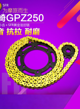适用川崎ZZR GPX GPZ250牙盘改装配件大小齿轮静音链条套链轮链盘