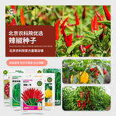 农科院辣椒种子朝天椒小米辣线椒彩椒甜椒青椒柿子椒易种蔬菜种籽