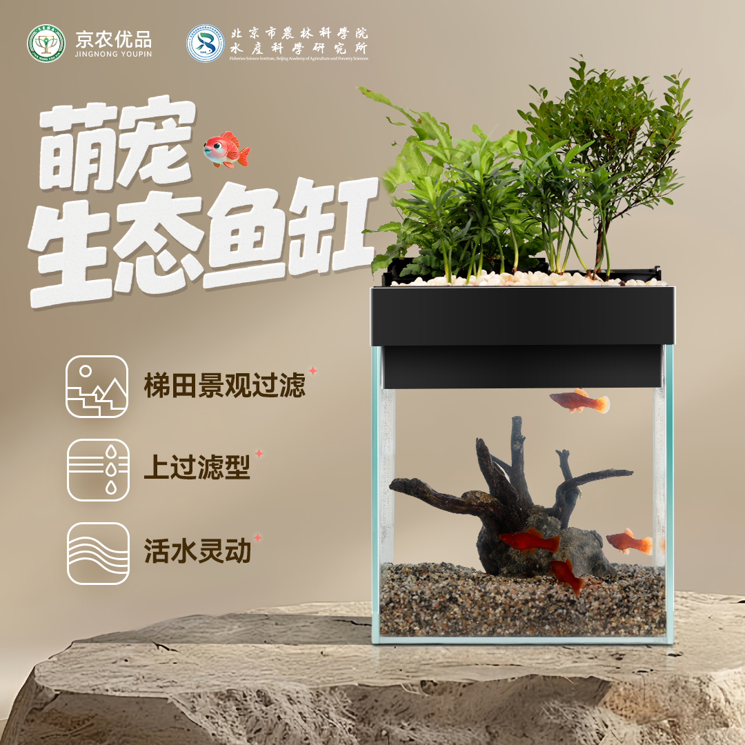 北京农科院萌宠生态鱼缸桌面观赏鱼缸懒人造景小型水族箱鱼植共生