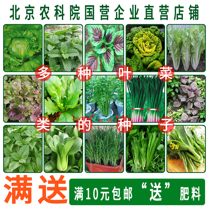 农科院蔬菜种子四季阳台种菜菜籽圣女果黄瓜韭菜甜菜薄荷香菜种籽-封面