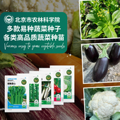 农科院蔬菜种子白菜四九菜心萝卜水果黄瓜长圆茄罐茄阳台菜种籽孑