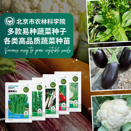 农科院蔬菜种籽四季阳台盆栽园艺