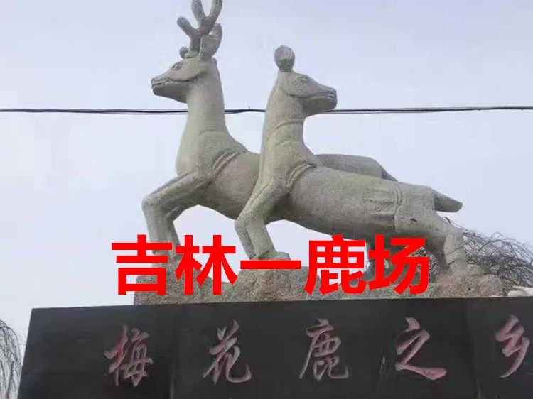 吉林梅花鹿男士滋补纯鹿鞭膏正品高纯度男性鹿参鹿茸补品正品包邮