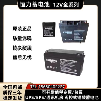 应急备用电源蓄电池恒力