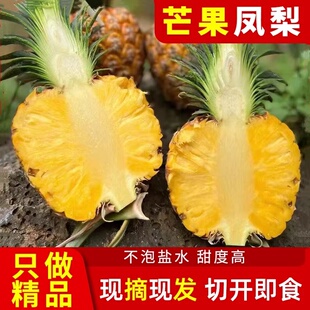 海南正宗精品树上熟芒果凤梨现摘现发非手撕金钻新鲜菠萝水果顺丰