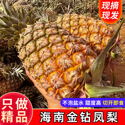 海南原产地发货新鲜金钻凤梨现摘现发9斤大果非芒果凤梨手撕包邮