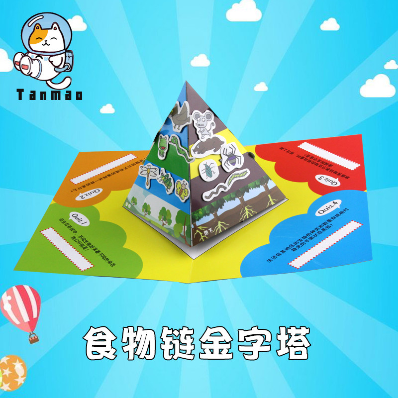 实验玩具食物链材料包