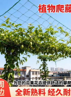 植物爬藤网蔬菜黄瓜丝瓜菜园攀爬网豆角网格架包边拉绳经久耐用