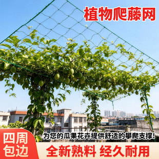 植物爬藤网蔬菜黄瓜丝瓜菜园攀爬网豆角网格架包边拉绳经久耐用