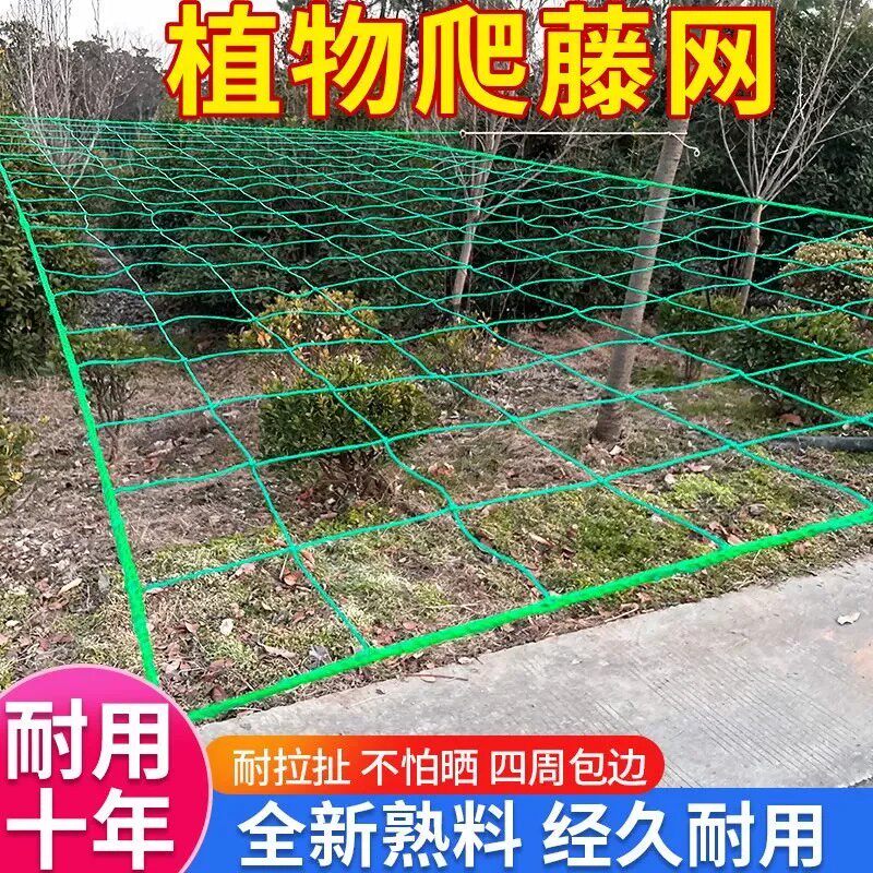 菜园植物爬藤网花卉蔬果丝瓜葡萄豆角攀爬月季网百香果阳台种植