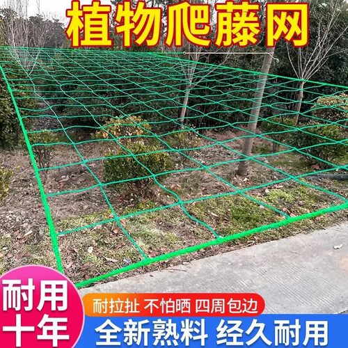 菜园植物爬藤网花卉蔬果丝瓜葡萄豆角攀爬月季网百香果阳台种植