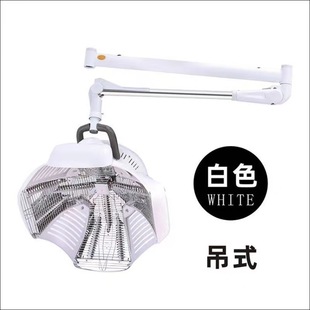 新款美发店烘发机加热器发廊理发店恤发机挂墙式定型烫发厂家直销