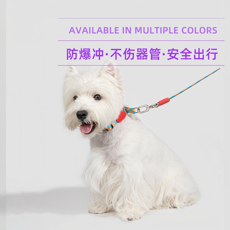 狗狗牵引绳项圈p绳遛狗链子防爆项圈/肩带