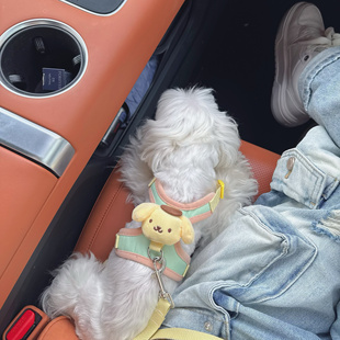 玩偶款 胸背带比熊泰迪外出遛狗绳 宠物狗狗牵引绳小型犬背心式