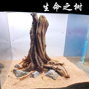 定制*生命之树造景套餐缸草缸鱼缸沉木水景景观老树盘根经典造型