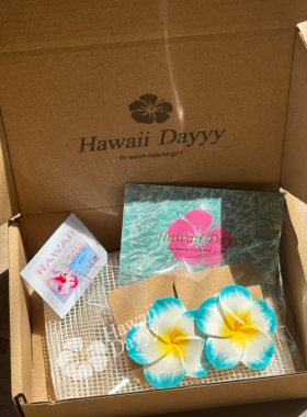 HawaiiDayyy热带海岛夏威夷耳饰