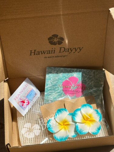 HawaiiDayyy热带海岛夏威夷耳饰