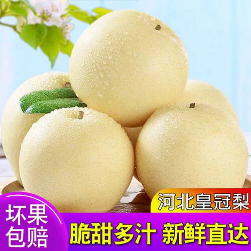 河北正宗皇冠梨子新鲜水果鸭梨雪梨砀山梨翠冠梨当季