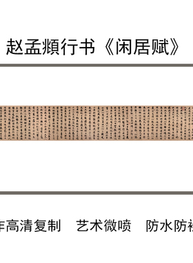 赵孟頫闲居赋书法临摹学习复制
