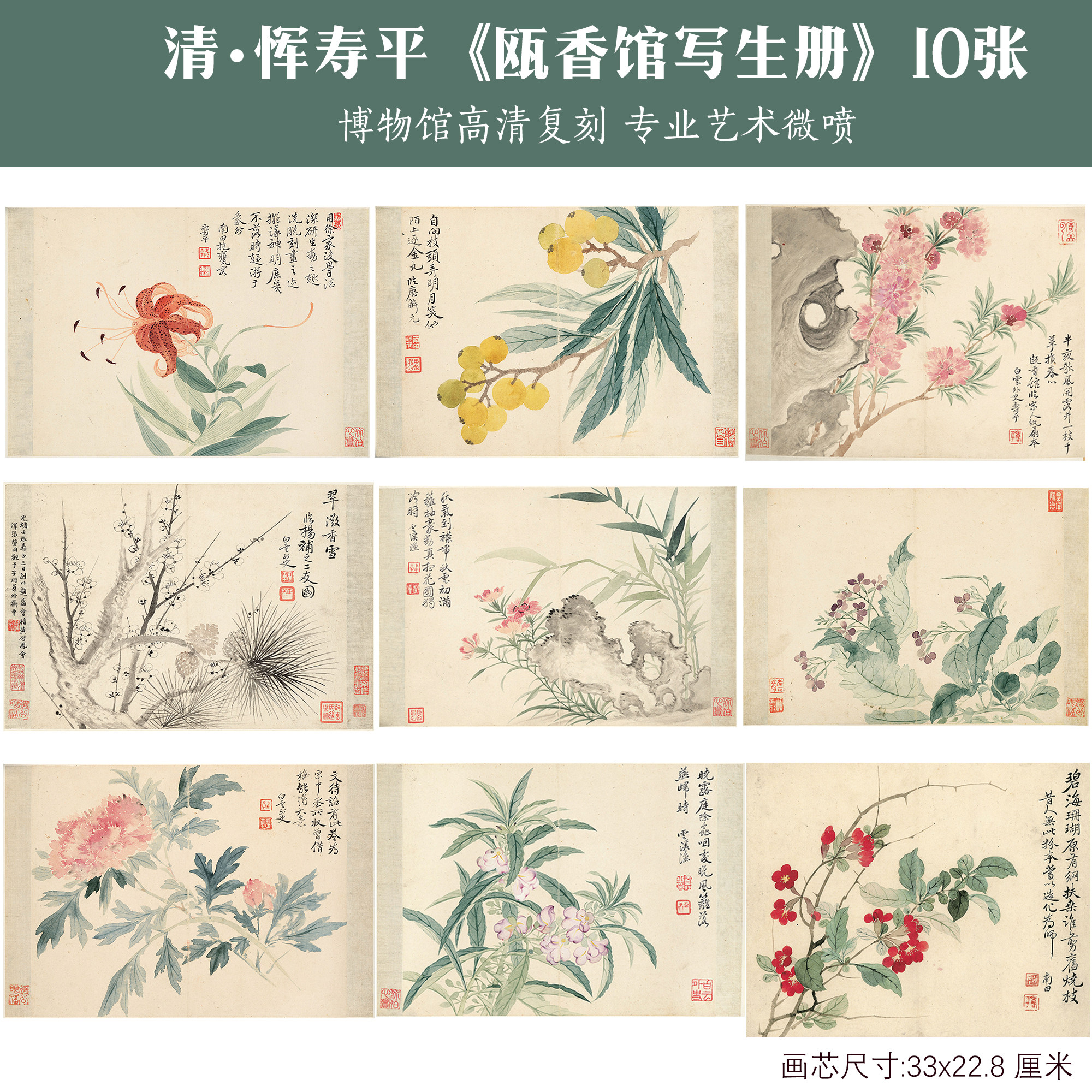 清代恽寿平瓯香馆写生册国画水墨花卉图高清打印临摹学习底稿装画