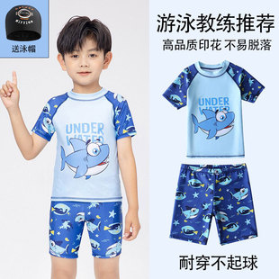 儿童泳衣男童分体短袖 小中大童速干防晒送泳帽 鲨鱼印花游泳套装