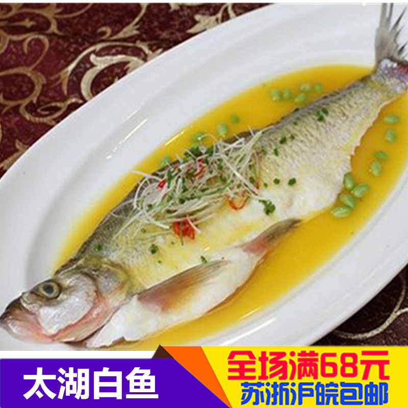 太湖鱼的品种,梅鲚鱼_大山谷图库